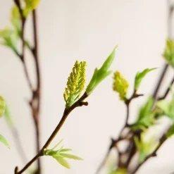 West Elm Faux Green Stem