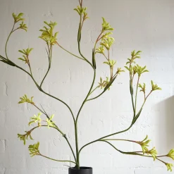West Elm Faux Kangaroo Paw Branch