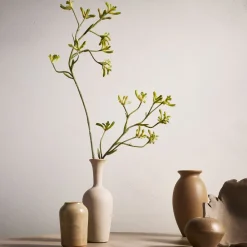 West Elm Faux Kangaroo Paw Stem