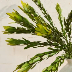 West Elm Faux Leucadendron Bundle