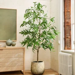 West Elm Faux Long Leaf Eucalyptus Potted Plant