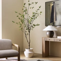 West Elm Faux Minimalist Citrus Potted