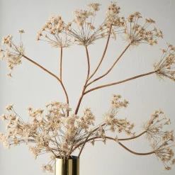 West Elm Faux Oversized Queen Anne's Lace Branch