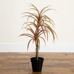 West Elm Faux Pink Dracaena Marginata Plant (2')
