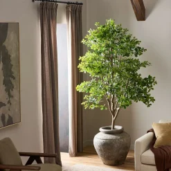 West Elm Faux Potted Aralia Tree