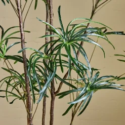 West Elm Faux Potted Australian Bottleneck Tree