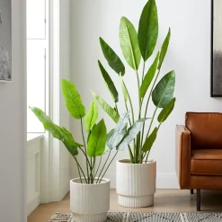 West Elm Faux Potted Bird of Paradise Plant