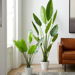 West Elm Faux Potted Bird of Paradise Plant
