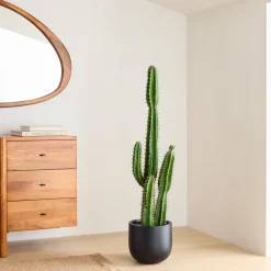 West Elm Faux Potted Cactus Plant