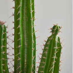 West Elm Faux Potted Cactus Plant & Large Bishop Planter Bundle