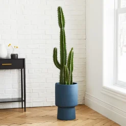 West Elm Faux Potted Cactus Plant & Medium Bishop Planter Bundle