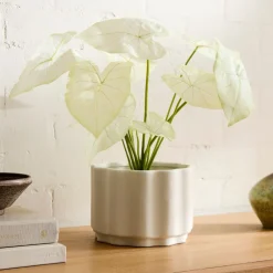 West Elm Faux Potted Dasheen Leaf