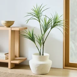 West Elm Faux Potted Dracaena