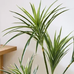 West Elm Faux Potted Dracaena