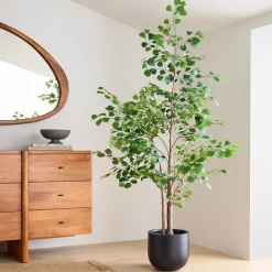 West Elm Faux Potted Ficus Tree