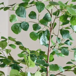 West Elm Faux Potted Ficus Tree