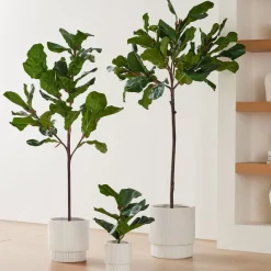 West Elm Faux Potted Fiddle Leaf Fig Trees