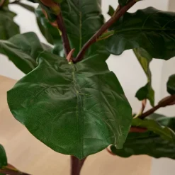 West Elm Faux Potted Fiddle Leaf Fig Trees