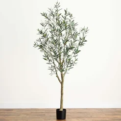 West Elm Faux Potted Greco Olive Tree