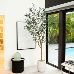 West Elm Faux Potted Greco Olive Tree