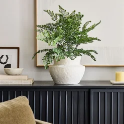 West Elm Faux Potted Maidenhair Fern