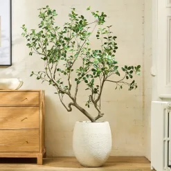 West Elm Faux Potted Manzanita Tree