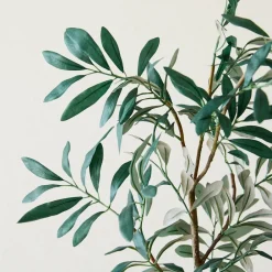 West Elm Faux Potted Olive Tree