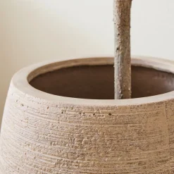 West Elm Faux Potted Olive Tree & Curved Round Planter Bundle