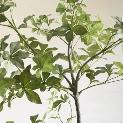 West Elm Faux Potted Quince Leaf Tree