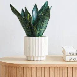 West Elm Faux Potted Snake