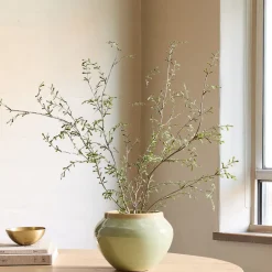 West Elm Faux Potted Sophora Prostrata