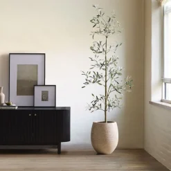 West Elm Faux Potted Sparse Olive Tree