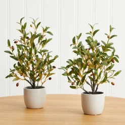 West Elm Faux Potted Tabletop Olive Tree - Set of 2