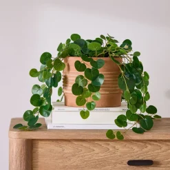 West Elm Faux Potted Trailing Leaf Plant