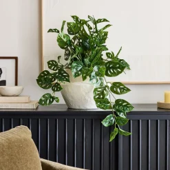 West Elm Faux Potted Trailing Monstera