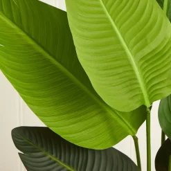West Elm Faux Potted Travelers Palm Tree