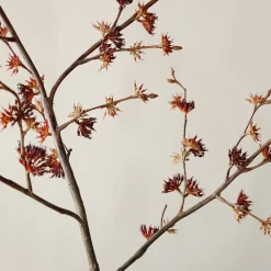 West Elm Faux Siberian Elm Branch