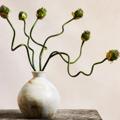 West Elm Faux Snake Ball Allium Stem