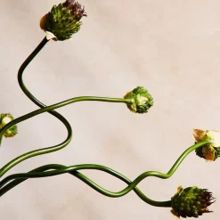 West Elm Faux Snake Ball Allium Stem