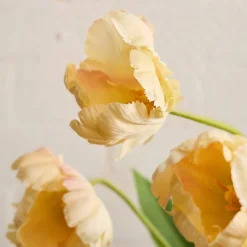 West Elm Faux Tulip Bundle