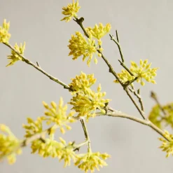 West Elm Faux Yellow Bud Branch