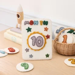 Kids West Elm Felt Month Baby Milestone Card Set