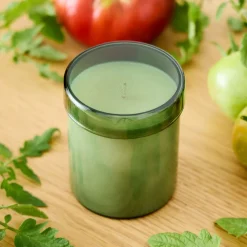 West Elm Field Kit - The Greenhouse Candle
