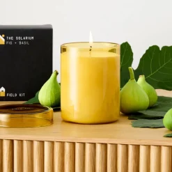 West Elm Field Kit - The Solarium Candle