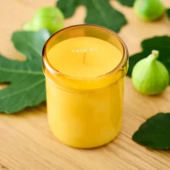 West Elm Field Kit - The Solarium Candle