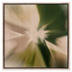 West Elm Flare Framed Wall Art by Coup D'Esprit