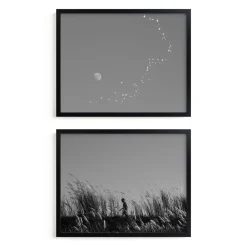 West Elm "Flight & Hike" Framed Art by Minted for