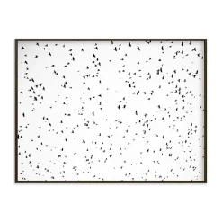 West Elm Flight Pattern Framed Wall Art by Minted for