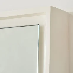 West Elm Floating Lacquer Wood Floor Mirror