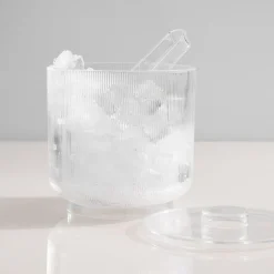 West Elm Fluted Acrylic Ice Bucket